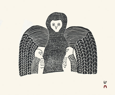 2023 LAST PRINT by NAPACHIE TOONOO *Enfolding Owl 24*