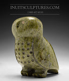 9" Curious Owl by Kupapik Ningeocheak