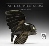 7" Flying Fish by Toonoo Sharky