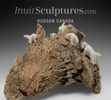 13" Ivory Bears on the beach by the late Famous Emily Illuitok (1943 - 2012)