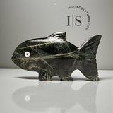 16" Arctic Char by Tuk Nuna *Nemo*