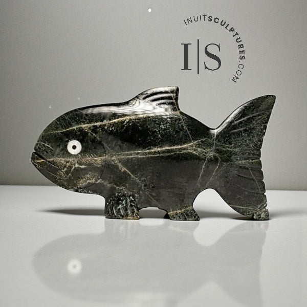 16" Arctic Char by Tuk Nuna *Nemo*