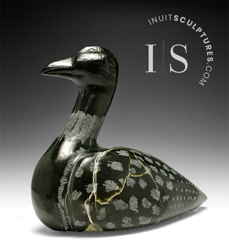 11" Loon by Dale Ford