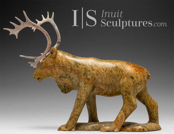 9" Caribou by  Derrald Taylor *Olympic Dream*