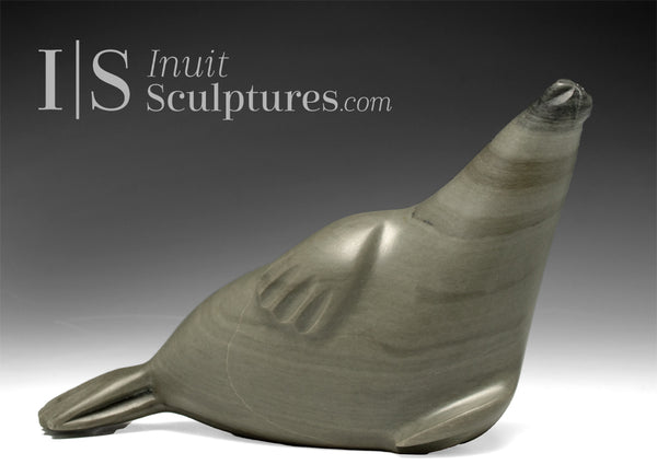 8" Sunbathing Seal by Elijah Kavik *SPF 40*