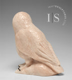 6" Ookpik Owl by Peter K. *Cotton Candy*