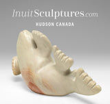 7" Seal by Toonoo Sharky *Bob Sledder*