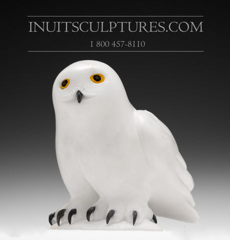 7" White Owl by Famous Manasie Akpaliapik
