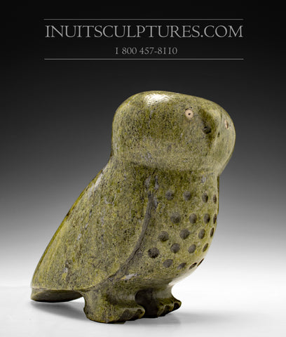 9" Curious Owl by Kupapik Ningeocheak