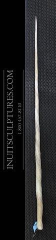 198 cm / 6.43 feet Narwhal Tusk Ivory